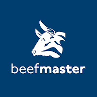 Beefmaster Grills
