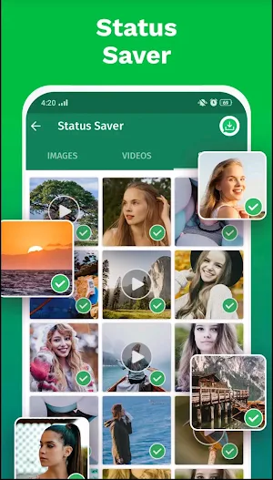 Status Saver Tiger Screenshot 1