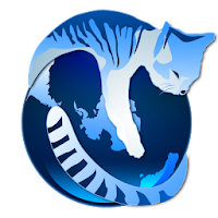 Web Browser Pro