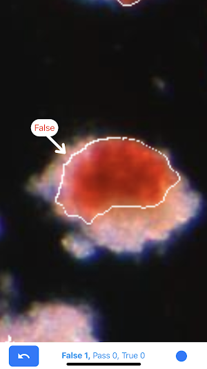 IsletSwipe Screenshot 2