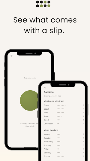 QuitDots: A Calmer Way to Quit Screenshot 3