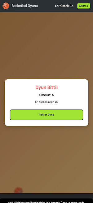 Basketbol Oyunu Screenshot 0