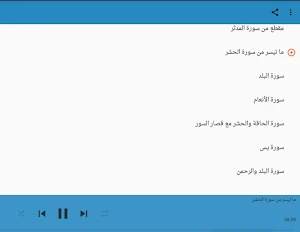 أعذب تلاوات عبد الباسط عبد الصمد Screenshot 1