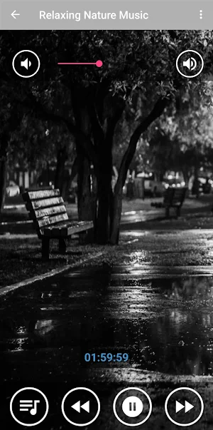 Peaceful Nature Relaxing Music Screenshot 3