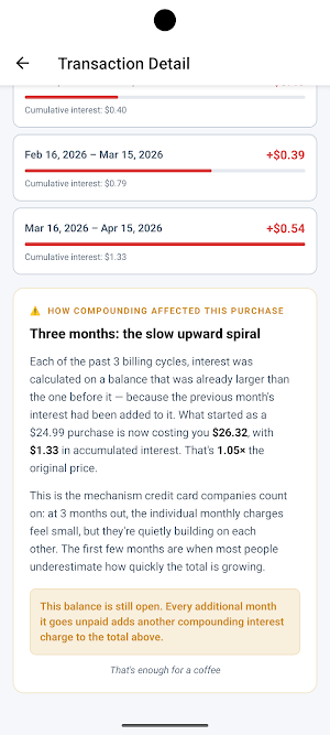 Pay Down: Credit Card Payoff Screenshot 2