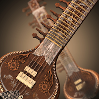 Sitar Instrument