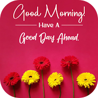 morning wishes