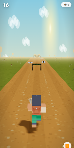 Butterfly Run Screenshot 0
