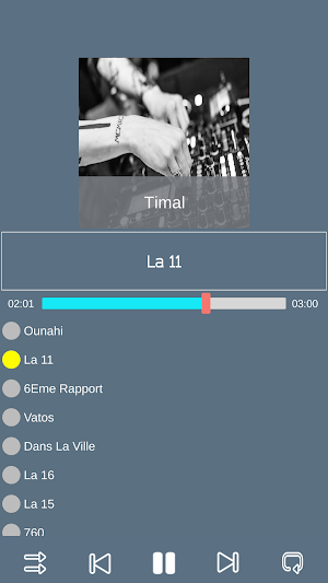 Timal Solide Screenshot 2