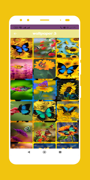 Butterfly wallpaper Screenshot 3