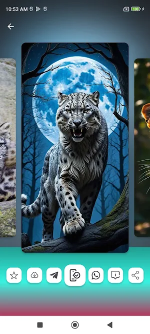 Leopard Wallpapers HD Screenshot 3