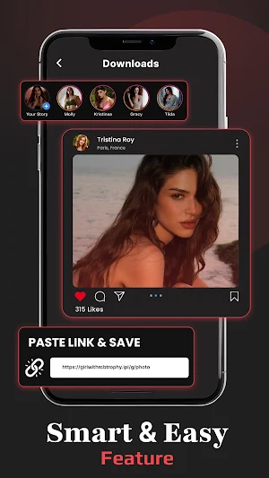 All Video Downloader & Homes Screenshot 0