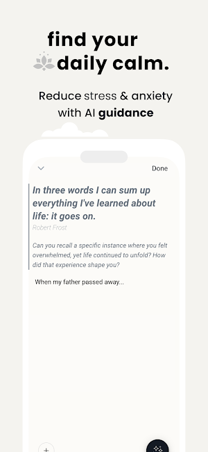 Wise Journal Screenshot 1