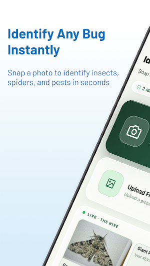 Bug Identifier By Picture Screenshot 0