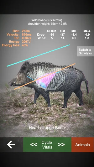 Rifle Hunt Simulator Screenshot 1