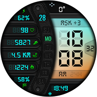 DIGI WALMANT CTS20 Watch face
