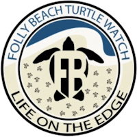 Folly Turtles