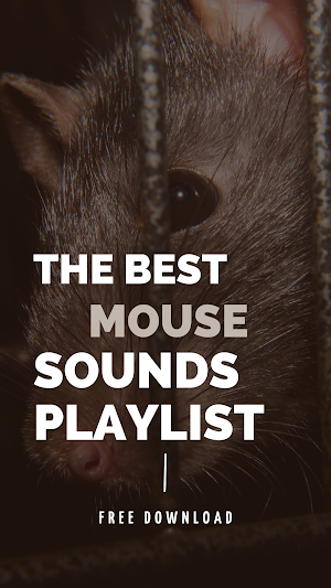 Mouse sound prank screenshot 2