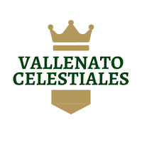 Vallenato Celestial