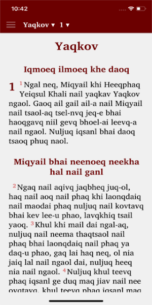 Akeu Bible Screenshot 0