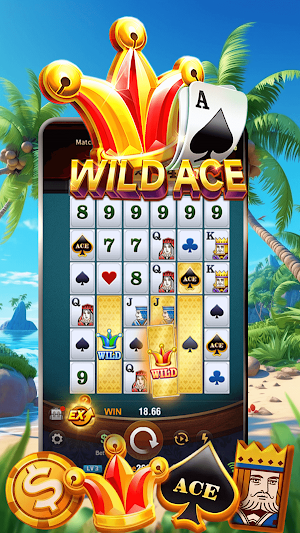 Super Ace Game Screenshot 3