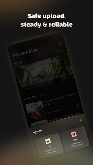 Provide Max-Pure Audio Video Screenshot 0