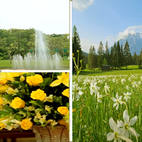 Photo editor effects software