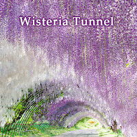 Wisteria Tunnel Theme +HOME