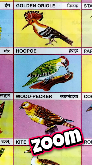 Educational Charts Book Screenshot 3