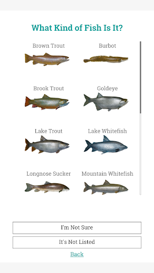Should I Eat This Fish? Screenshot 1