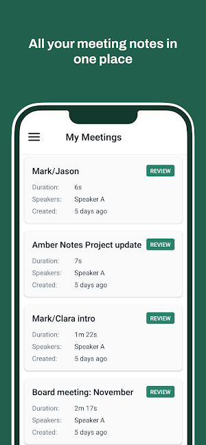Amber Notes: AI Meeting Notes Screenshot 3