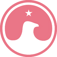Aether Auctions Pro