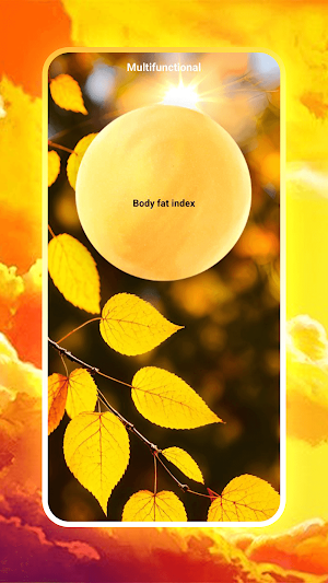 BMI calculation Screenshot 1
