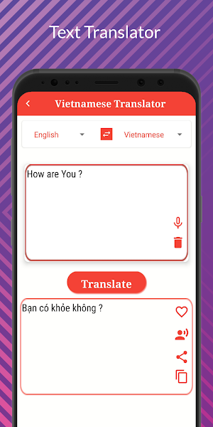 Vietnamese Translator Screenshot 2