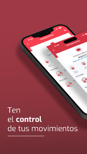 Bankapp Screenshot 0