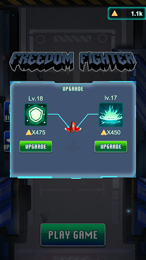 Freedom Fighter Screenshot 3