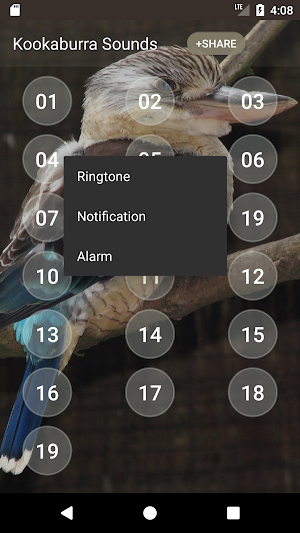 Kookaburra Sounds Screenshot 2