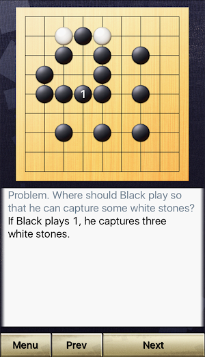 How to play Go "Beginner's Go" Screenshot 1