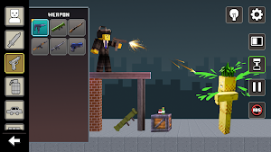 Pineapple Playground Sandbox Screenshot 1