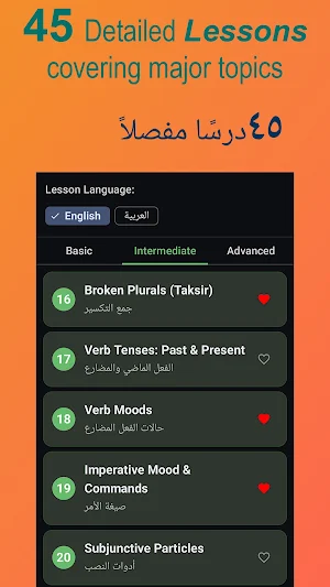 Arabic Grammar - Intermediate Screenshot 1