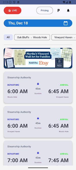 Martha's Vineyard Ferries Screenshot 0