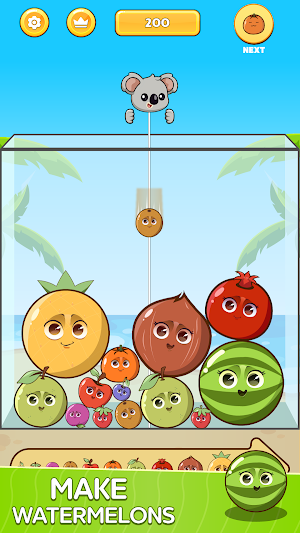 Watermelon Koala Screenshot 1