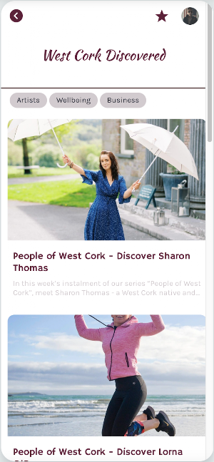 West Cork Discovered Screenshot 3