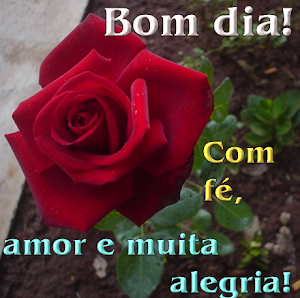 BOM DIA Screenshot 3