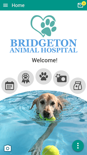 STL PetVet Screenshot 0