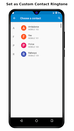 Birds Sound Ringtones Screenshot 3