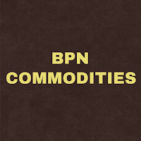 BPN Spot