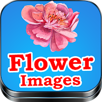 Flower Images