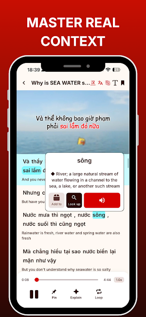 Viet Lens: Learn Vietnamese Screenshot 1