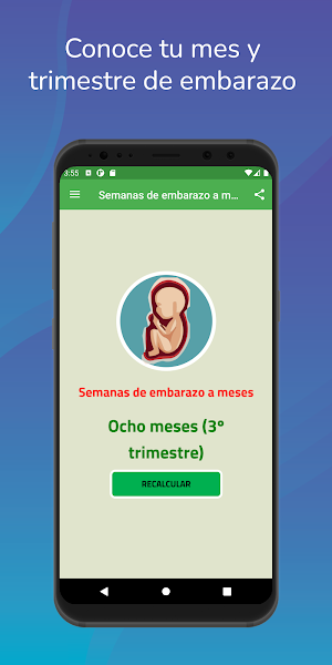 Semanas a meses de embarazo Screenshot 3